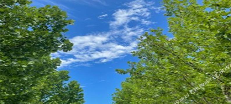 盐城新军旅社图片