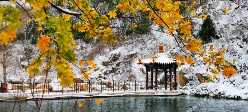 柒屿·灵溪诺雅私汤民宿图片