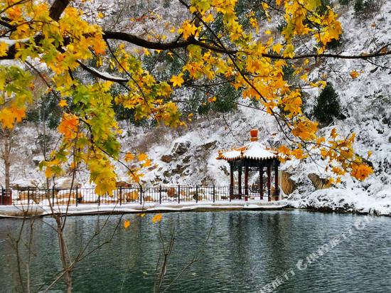 柒屿·灵溪诺雅私汤民宿