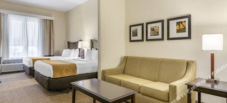 东铭基舒适套房酒店(Comfort Suites Maingate East)图片