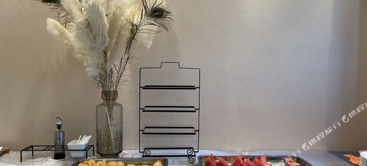 维也纳国际酒店(石家庄火车站店)图片