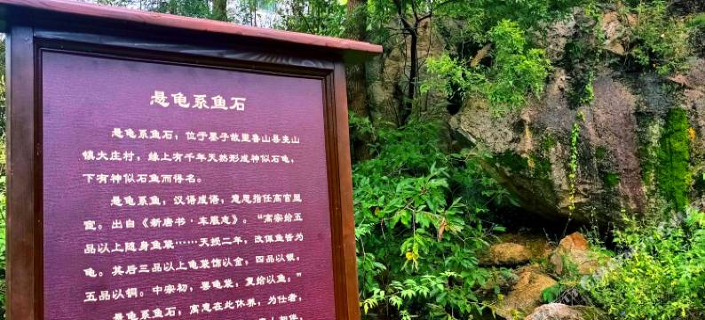 尧山翰墨居民宿图片