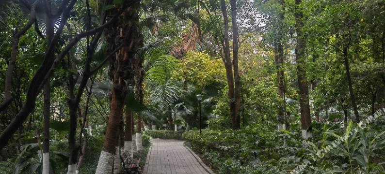 尔亭·金沙公寓(肿瘤医院店)图片