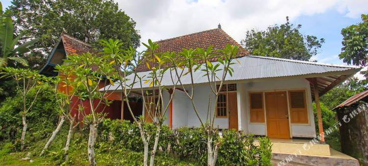 Spot on 92567 Jati Homestay Near Taman Suranadi图片