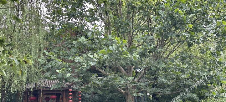 东港翰林阁图片