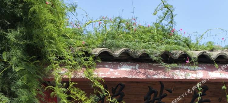 合肥悦然居民宿(新桥国际机场店)图片