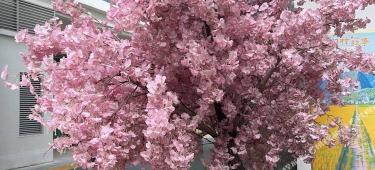 澜庭印象精品公寓(和贵广场店)图片