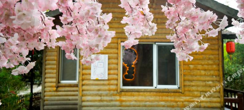 金源泰温泉民宿图片