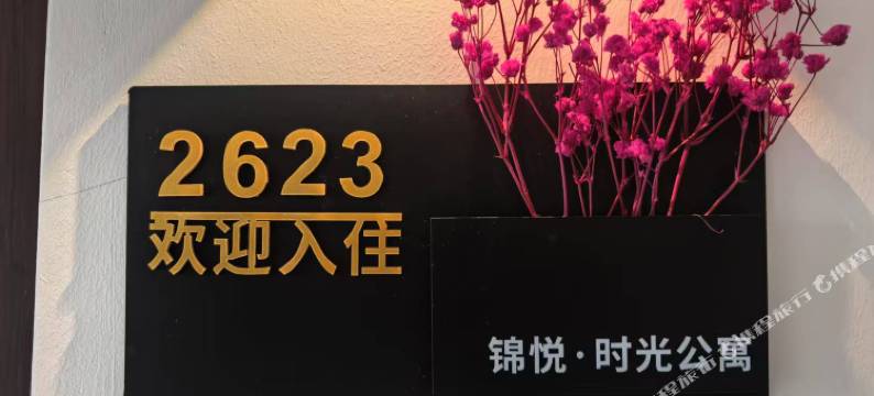 锦悦·时光民宿(红高路地铁站店)图片