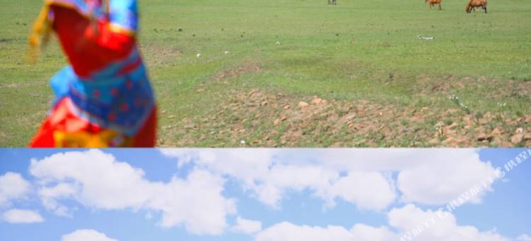 云野牧歌民宿(乌兰察布之夜高铁站店)图片