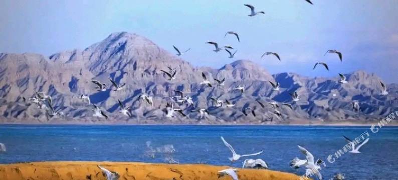 南希酒店(乌海万达广场店)图片