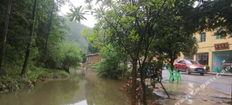 四面山松山林苑图片