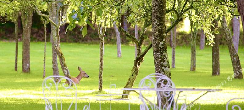 杜布城堡酒店(Château du Bû)图片