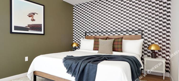 Sonder the Leo图片