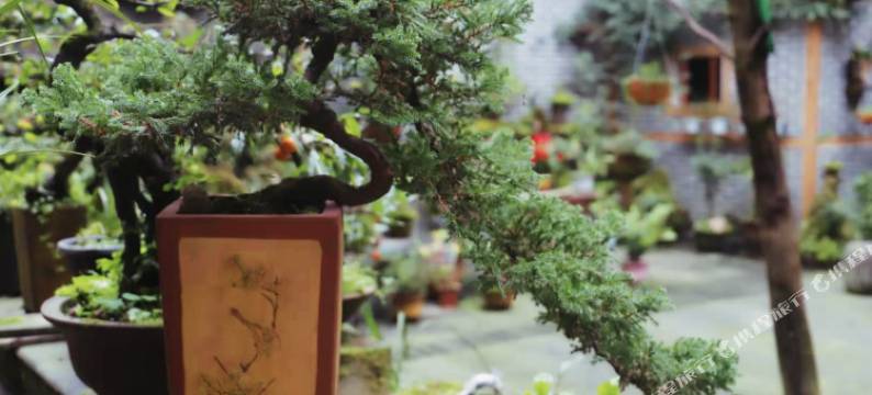 大邑雄鹰客栈图片