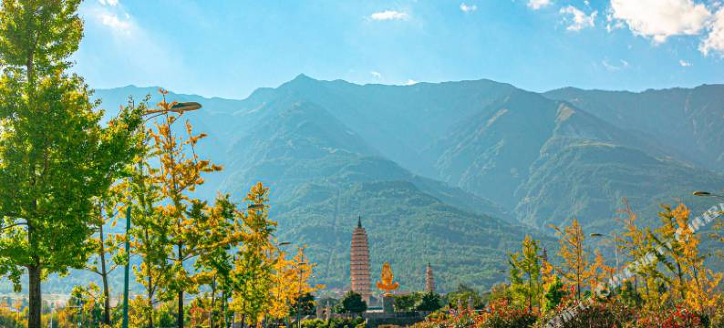 鹿野鹿笙·Coffee旅行秘境设计师美宿(大理古城店)图片