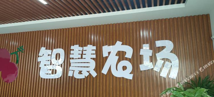 句容智慧农场图片