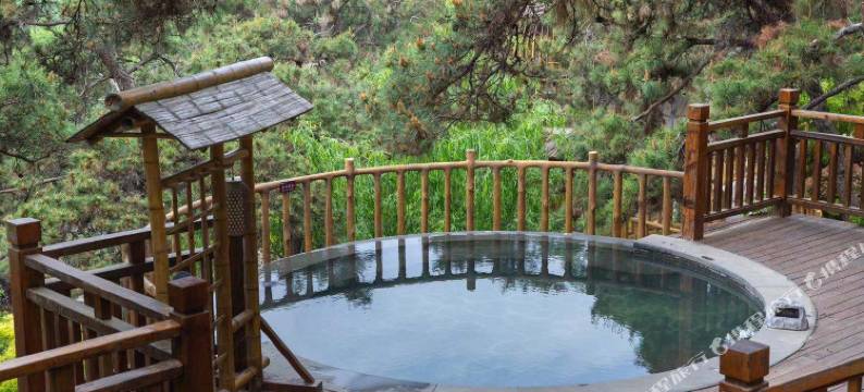 临沂平邑蒙山康谷温泉酒店(龟蒙景区店)图片