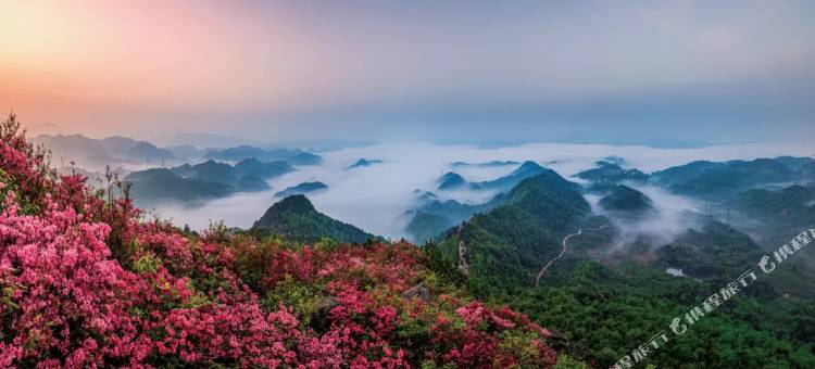 新昌云溪山庄图片