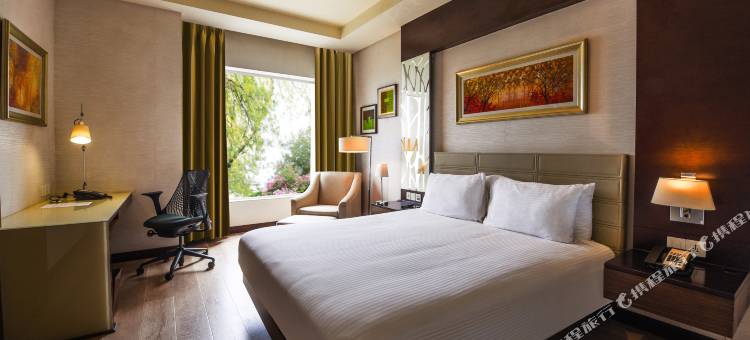 古尔冈巴尼广场希尔顿逸林酒店(DoubleTree by Hilton Gurugram Baani Square)图片