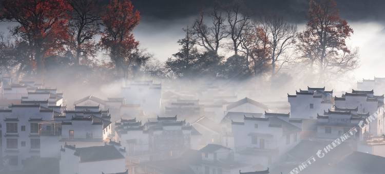 婺源石城枫红酒家图片