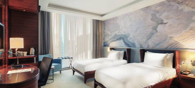 土耳其伊斯坦布尔美居酒店(Mercure Istanbul Umraniye)图片