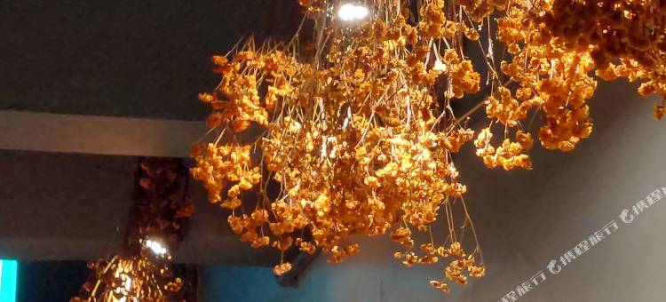 彰化以乐以乐图片