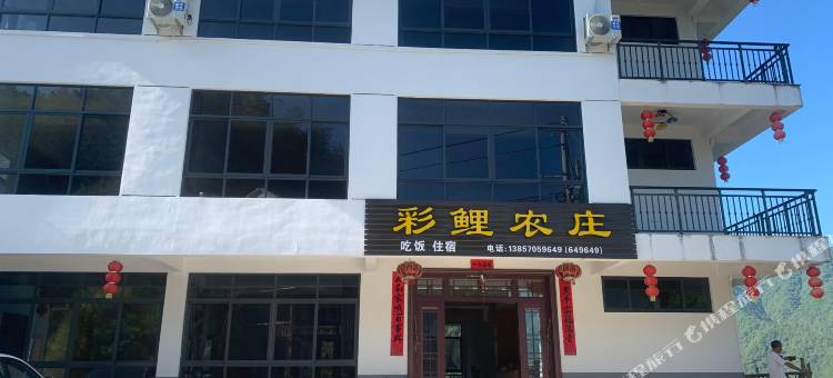 龙泉彩鲤农庄图片