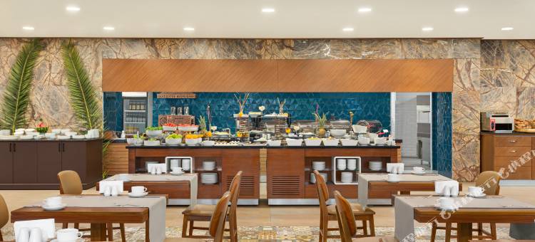 温德姆华美达广场酒店-萨姆松(Ramada Plaza by Wyndham Samsun)图片