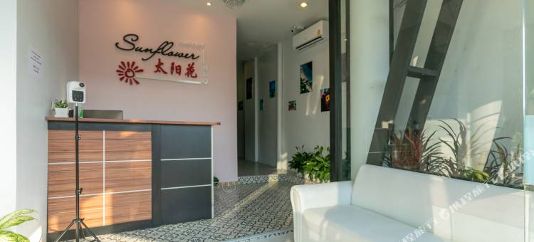 芭东太阳花酒店(Sunflower Hotel)图片