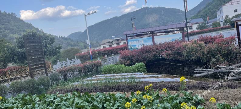 三清山陈家农庄图片