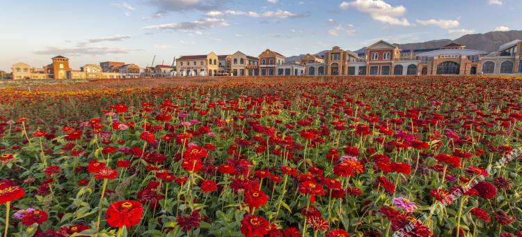 温泉濮塘民宿(博格达圣泉景区店)图片