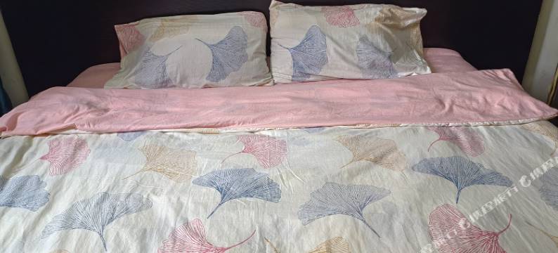 沈阳珍珠旅馆图片