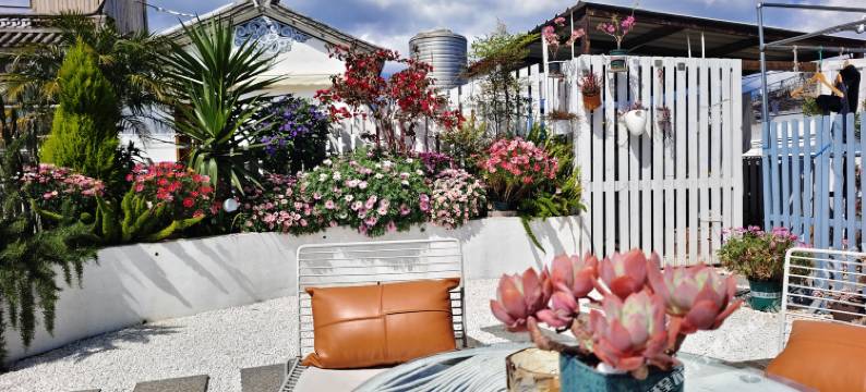 大理雨蝶客栈(才村码头店)图片