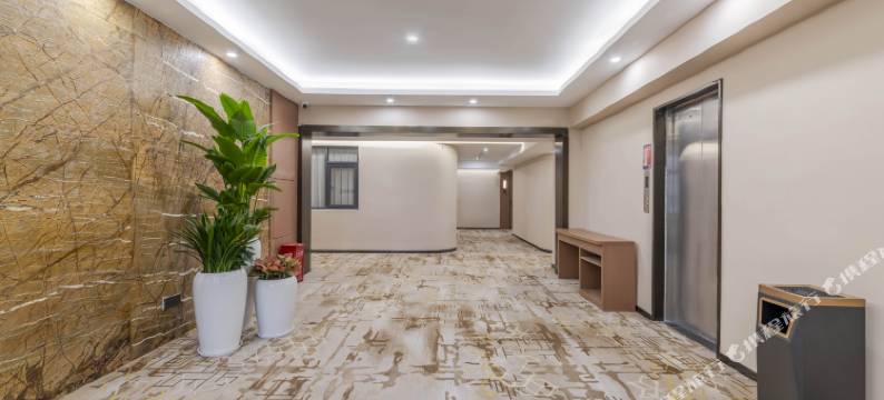 深圳华悦S酒店(大运中心龙城公园地铁站店)图片