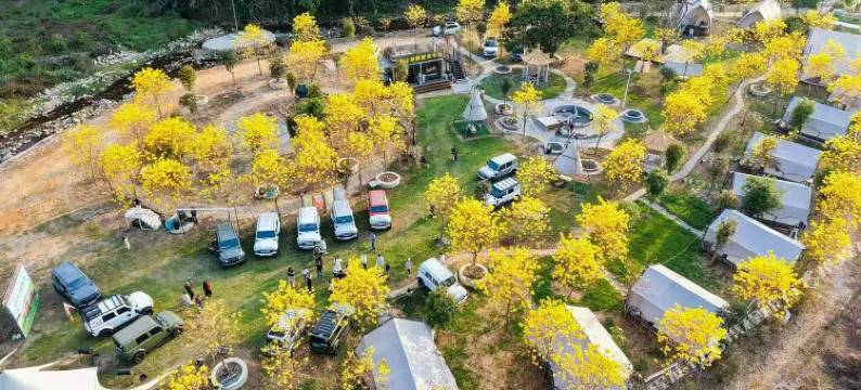 悦山宿溪·森林溪谷营地图片
