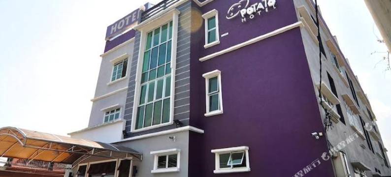 马铃薯酒店(Potato Hotel)图片