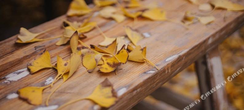 上海雨后客栈图片