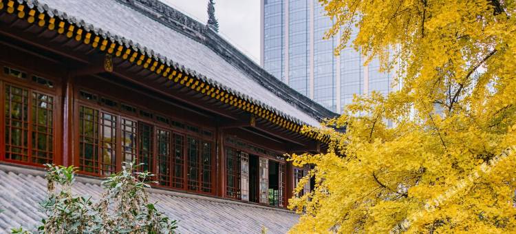 成都蓉城饭店(春熙路天府广场地铁站店)图片