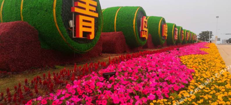 海之家公寓(青岛金沙滩店)图片