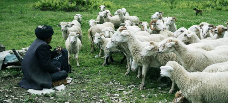 石棉浮云·海子温泉度假酒店图片