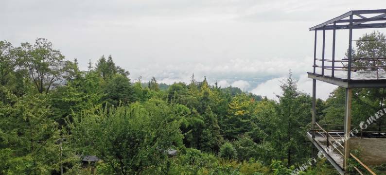 观心山居民宿图片
