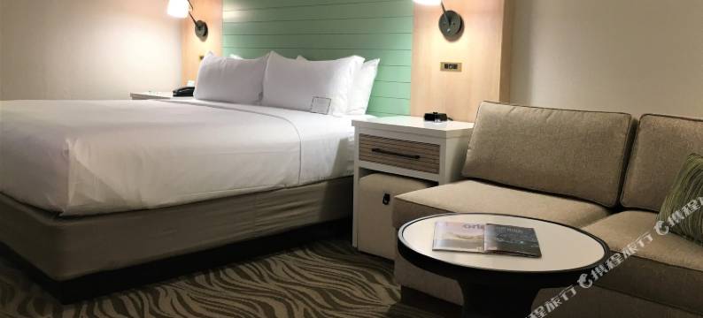 布埃纳维斯塔湖迪士尼清泉温德姆花园酒店(Wyndham Garden Lake Buena Vista Disney Springs® Resort Area)图片