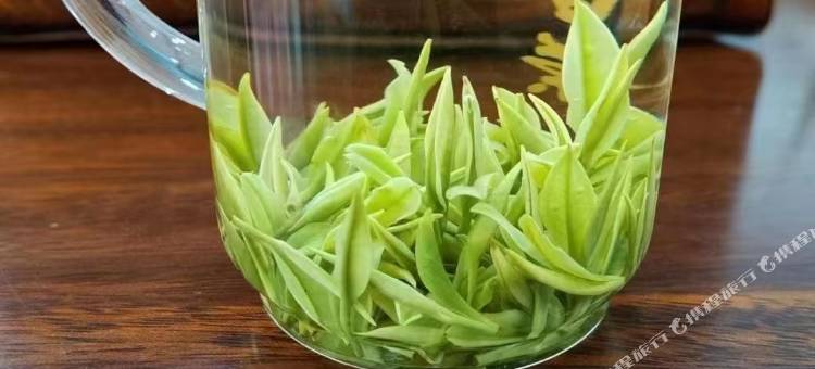 安吉吾心安处民宿图片