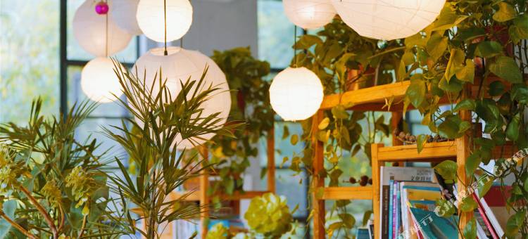 汶川沐月青岚温泉民宿(中华大熊猫苑店)图片