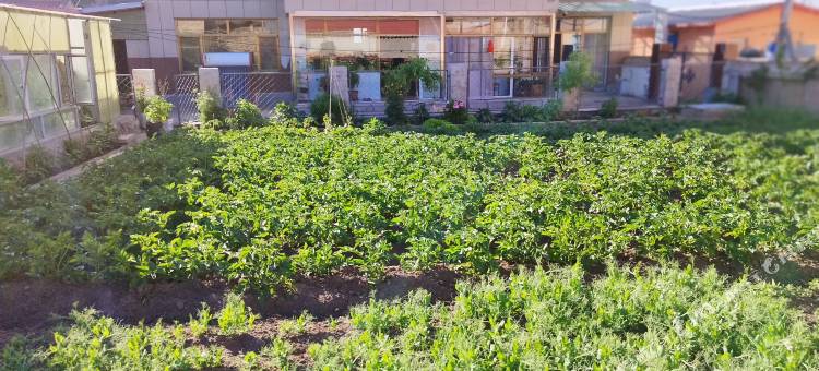 刘玉春庭院民宿图片