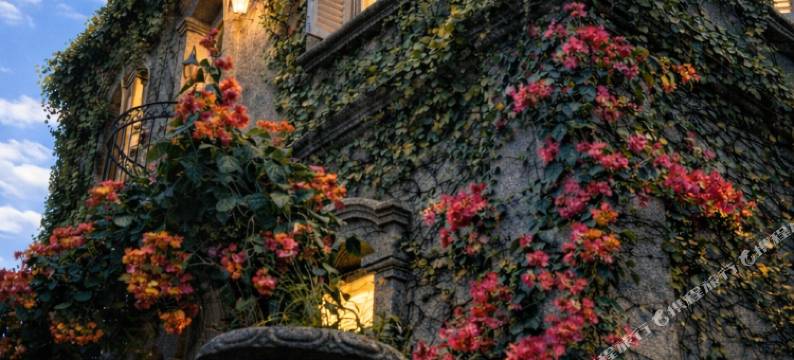 绿野仙踪·日光岩畔文人题咏之地·自然野趣view设计百年秘境民宿图片