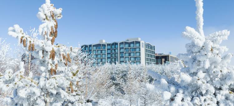 赛里木湖万豪AC酒店图片