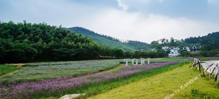 濮塘桃里度假村图片