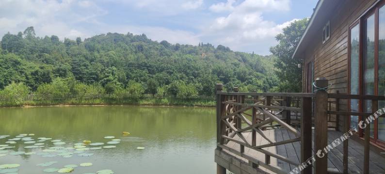 英德大围茶园民宿图片